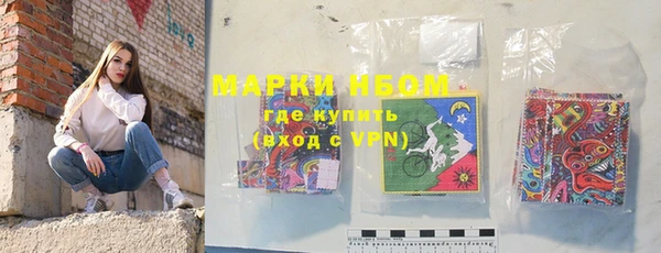 индика Верея