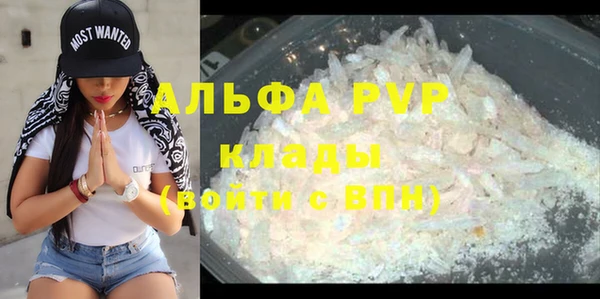 индика Верея