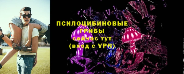 твердый Володарск