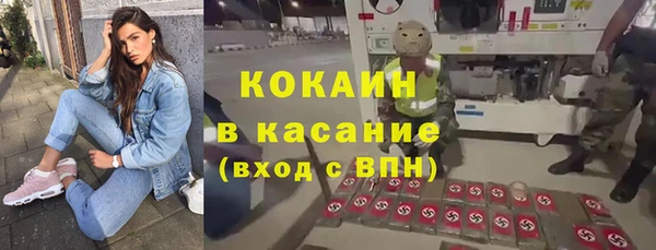 индика Верея