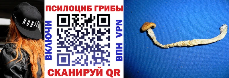 наркошоп  MEGA   Галлюциногенные грибы мицелий  Лукоянов 